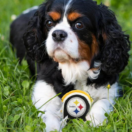 Pittsburgh Steelers Tennis Balls (2 Pc.)