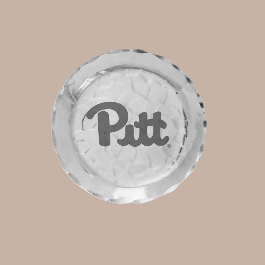 Pittsburgh Panthers Logo Coaster