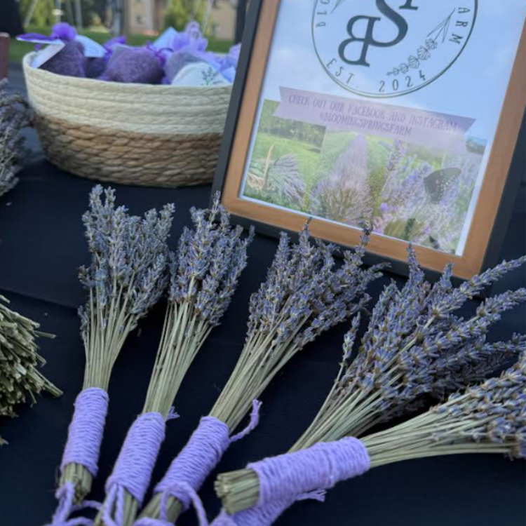 Dried Lavender Hanging Bundle