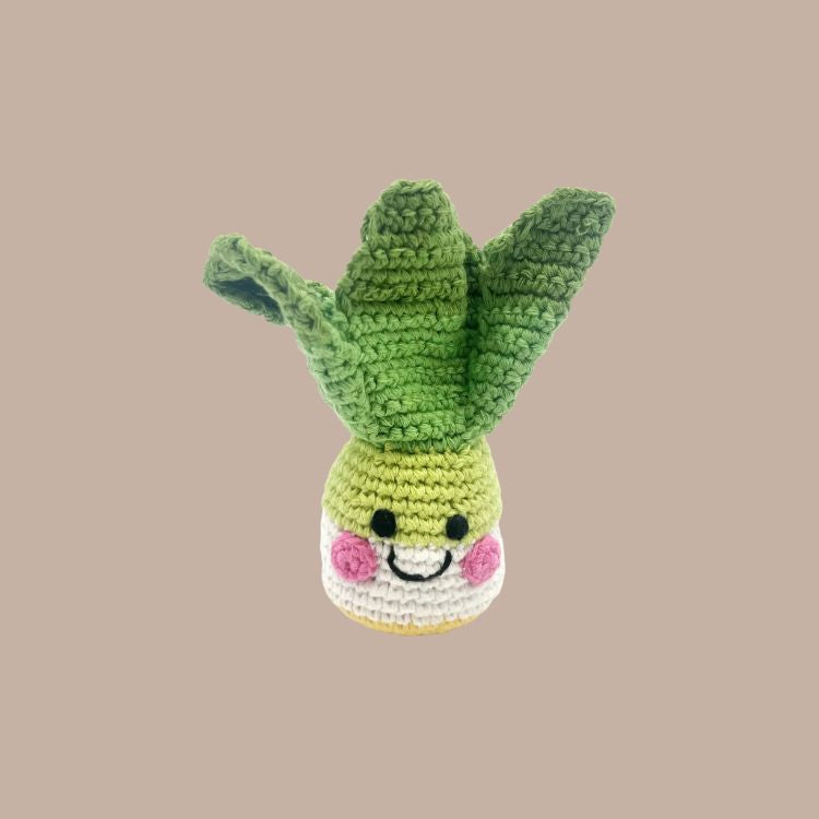 Pebble Baby Rattles