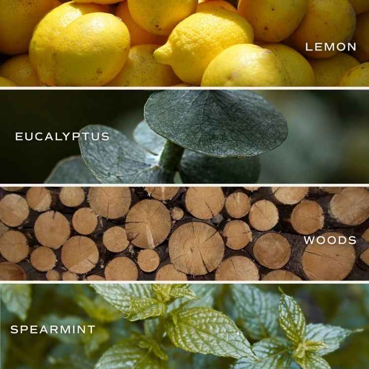 Stress Relief Bath Bomb