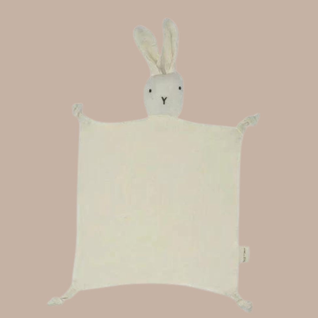 Baby Lovey Bunny