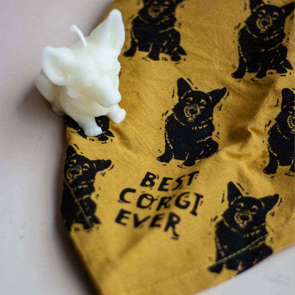 Best Corgi/Love My Human Pet Bandana (Reversible)