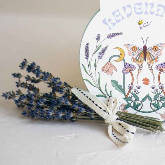 Dried Lavender Flower Bundle