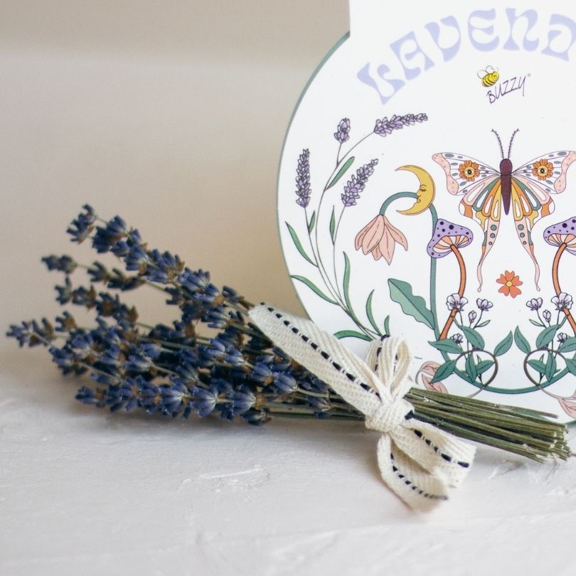 Dried Lavender Flower Bundle