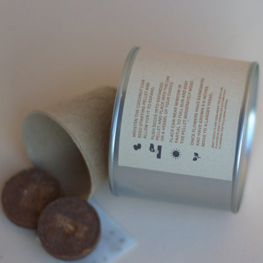 Forget-Me-Not Grow Kit with Seeds (Sympathy and Loss)