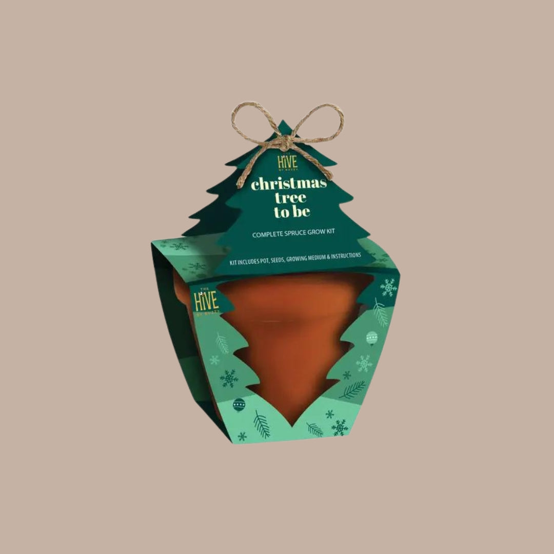 Holiday Spruce Tree To Be Grow Kit-Box Builder Item-Buzzy-Buzzy, corporate holiday gift, green, holiday, holiday colors, holidays, housewarming, LDT:GW:RESTRICT, local holiday gifts-