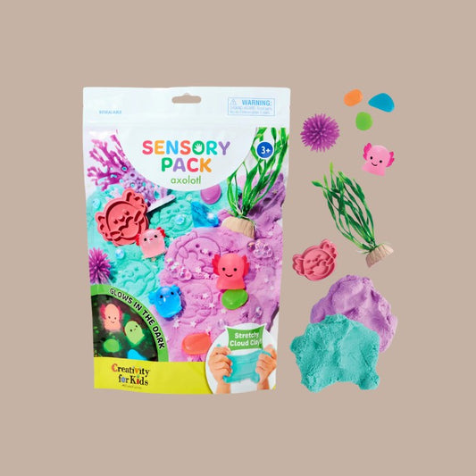 Sensory Pack Axolotl Play Kit For Kids