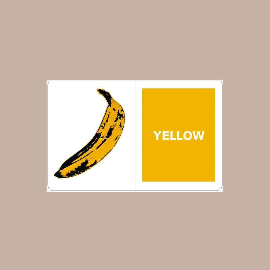 Andy Warhol What Colors Do You See? Board Book