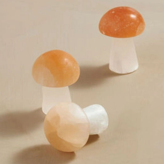 Selenite Mushroom