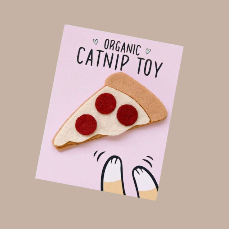 Catnip Pizza Cat Toy