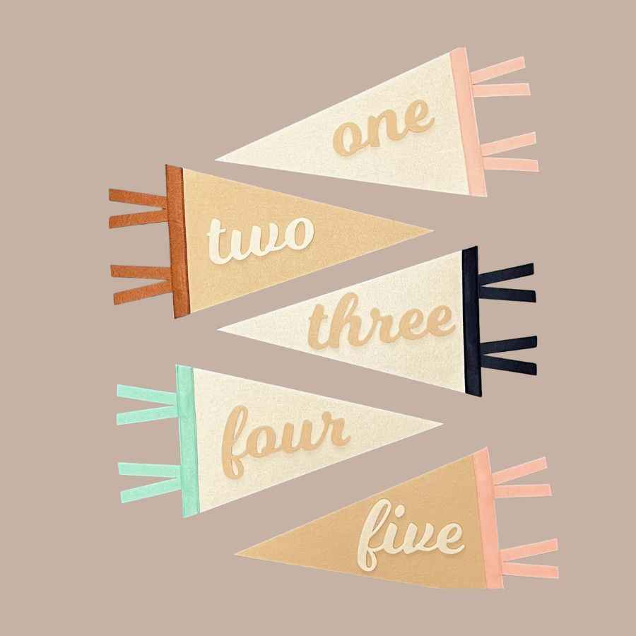 Monthly milestone felt pennant