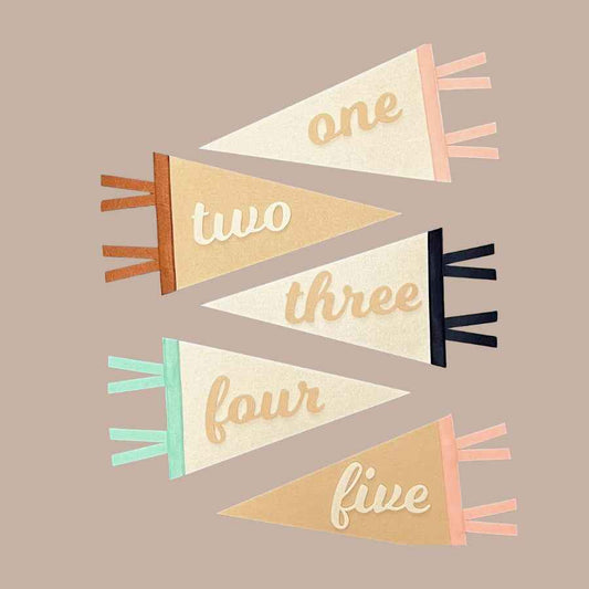 Monthly milestone felt pennant