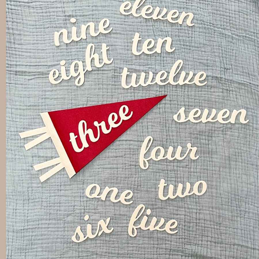 Monthly milestone felt pennant