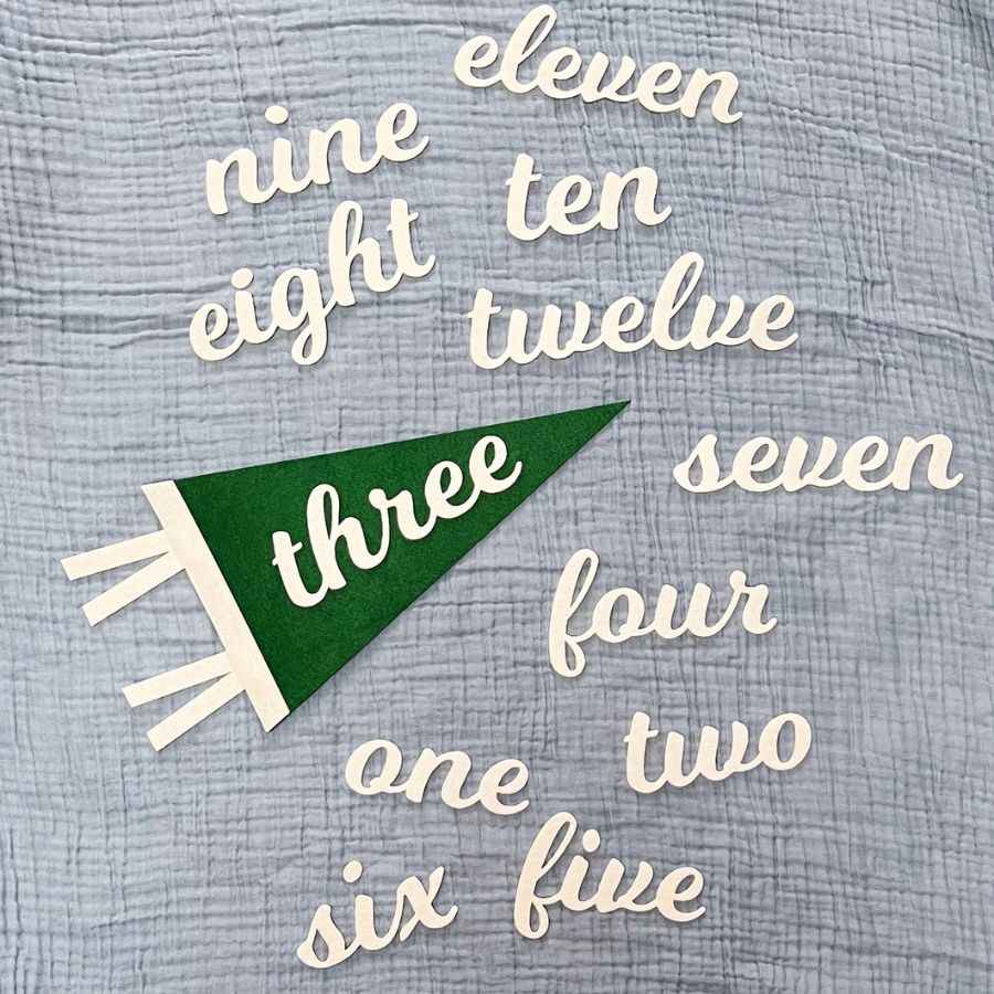 Monthly milestone felt pennant