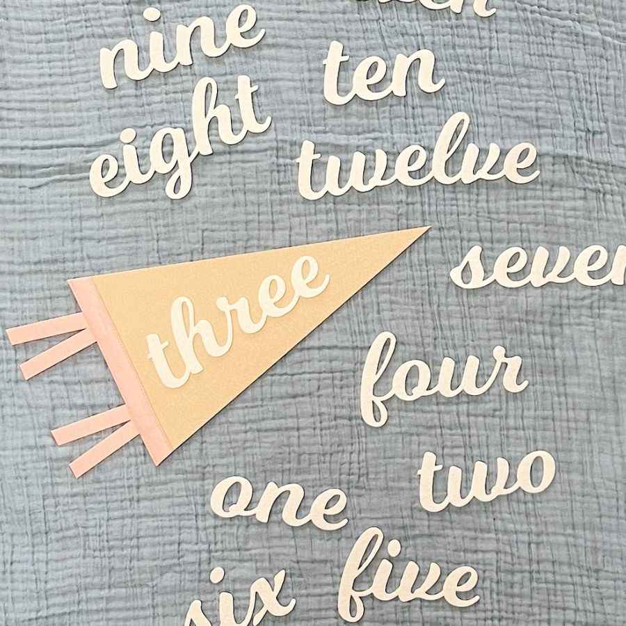 Monthly milestone felt pennant