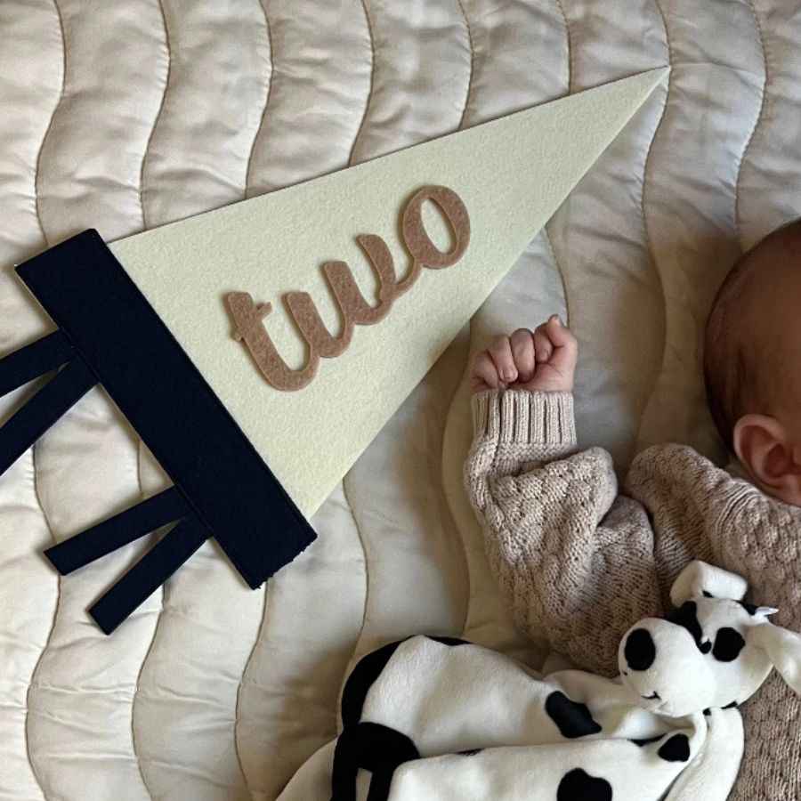 Monthly milestone felt pennant