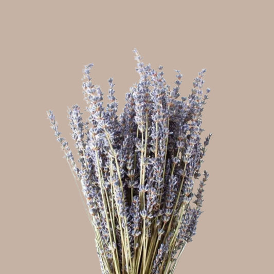 Large Dried Lavender Bundle