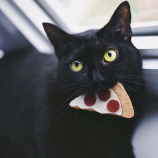 Catnip Pizza Cat Toy