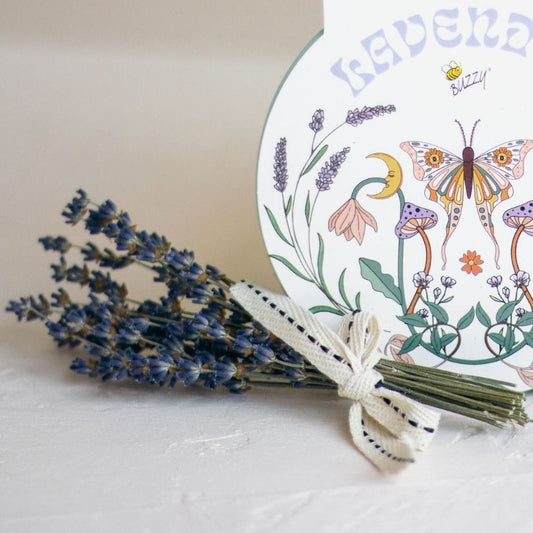 Dried Lavender Flower Bundle - KINSHIP GIFT - Box Builder Item - KINSHIP GIFT - housewarming, housewarming gift, kinship gift, lavender, LDT:GW:RESTRICT, Mother's Day, relax, relaxation gift, Sympathy, sympathy gift, Wellness - Pittsburgh - gift - boxes - gift - baskets - corporate - gifts - holiday - gifts