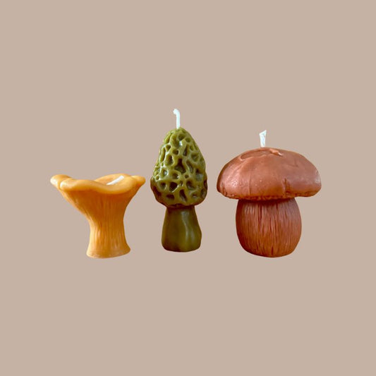 Mushroom Candle Box (Set of 3)