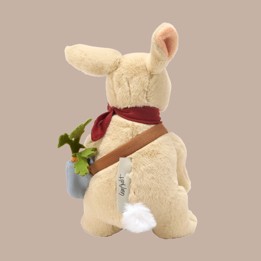 Bunny Rabbit Softie