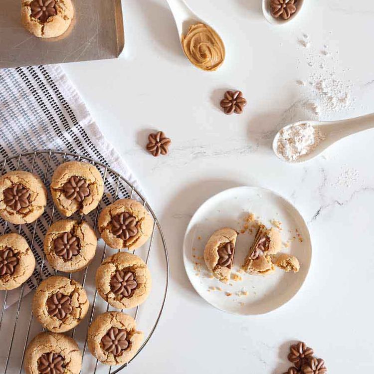 Milk Chocolate Blossoms