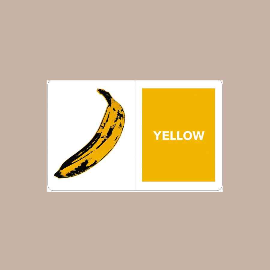 Andy Warhol What Colors Do You See? Board Book