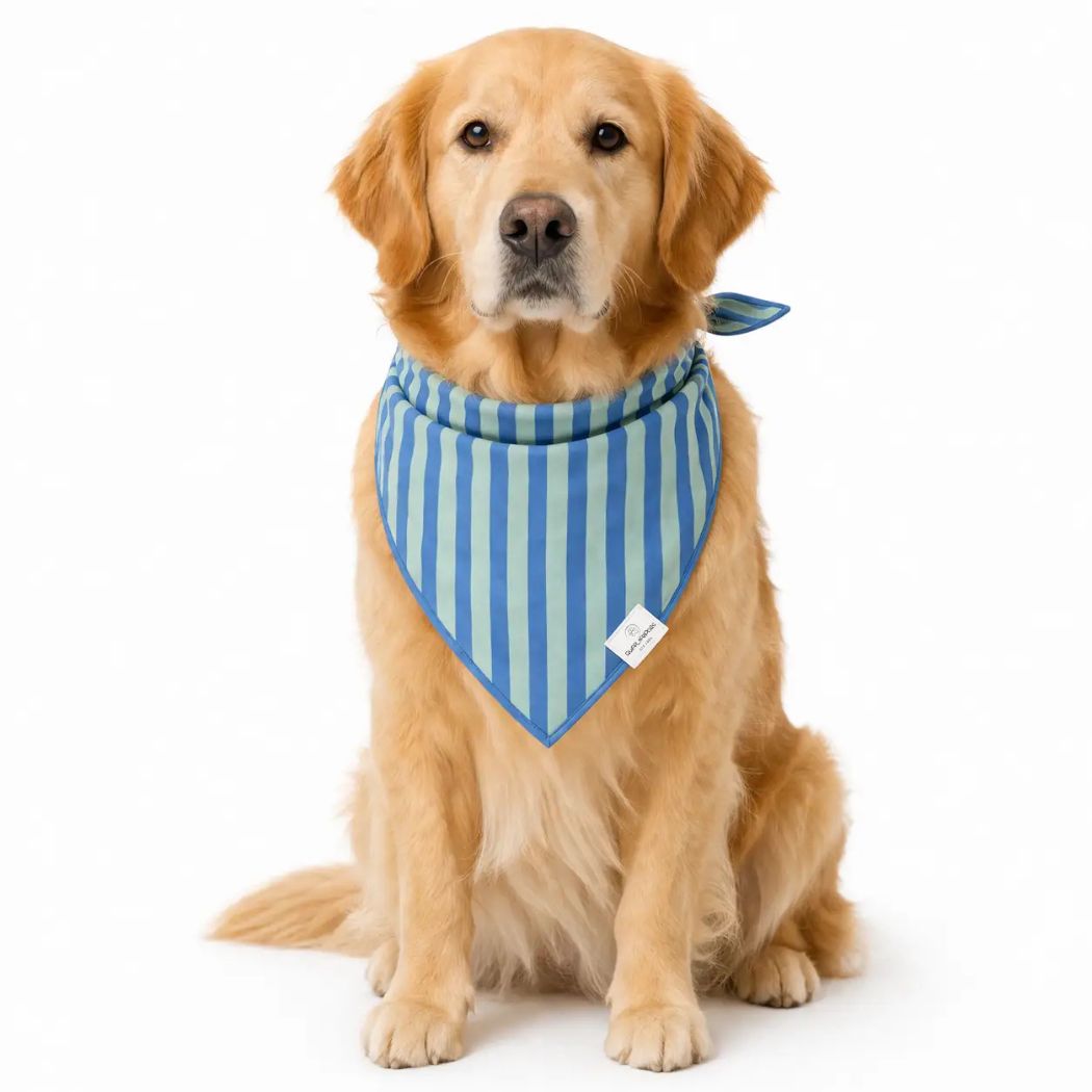 Dog Bandanas - Striped - KINSHIP GIFT
