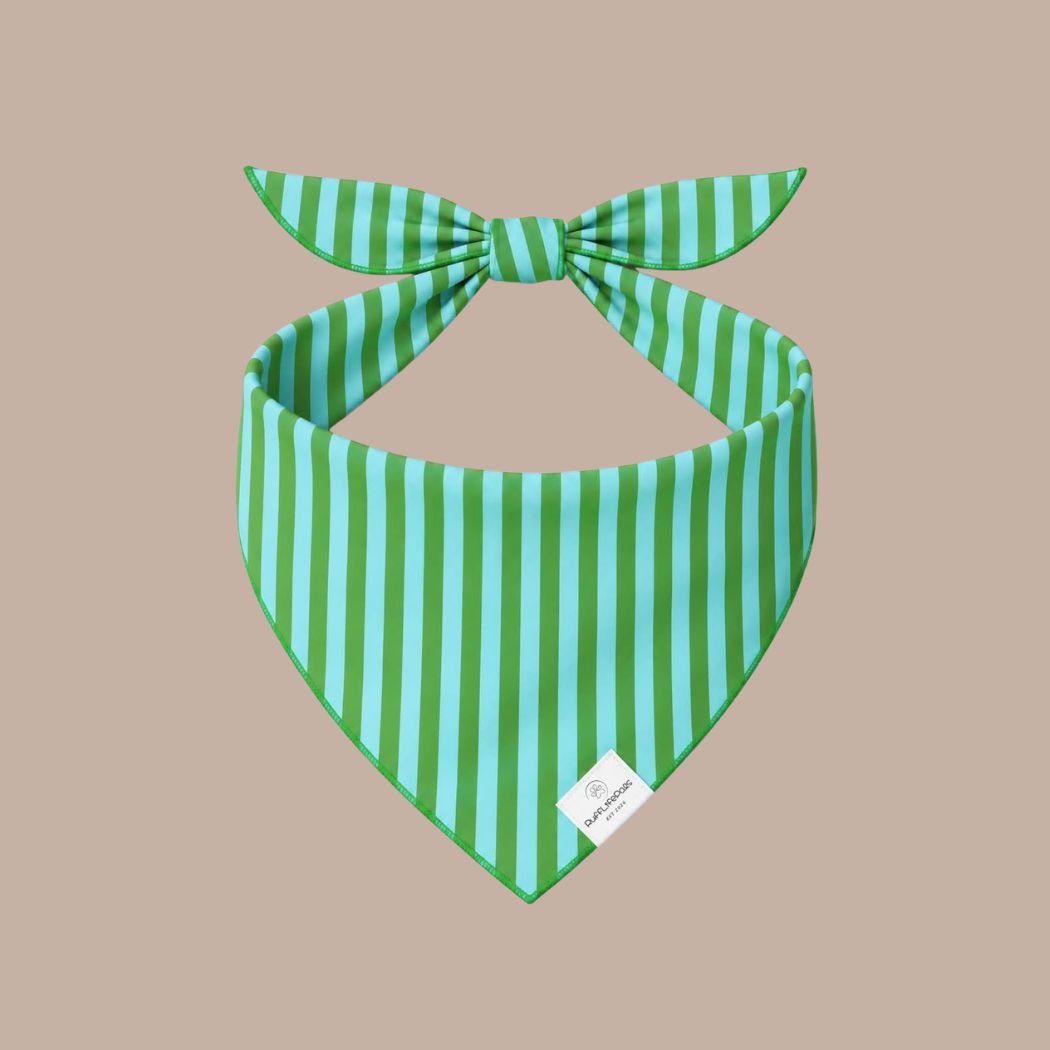 Dog Bandanas - KINSHIP GIFT