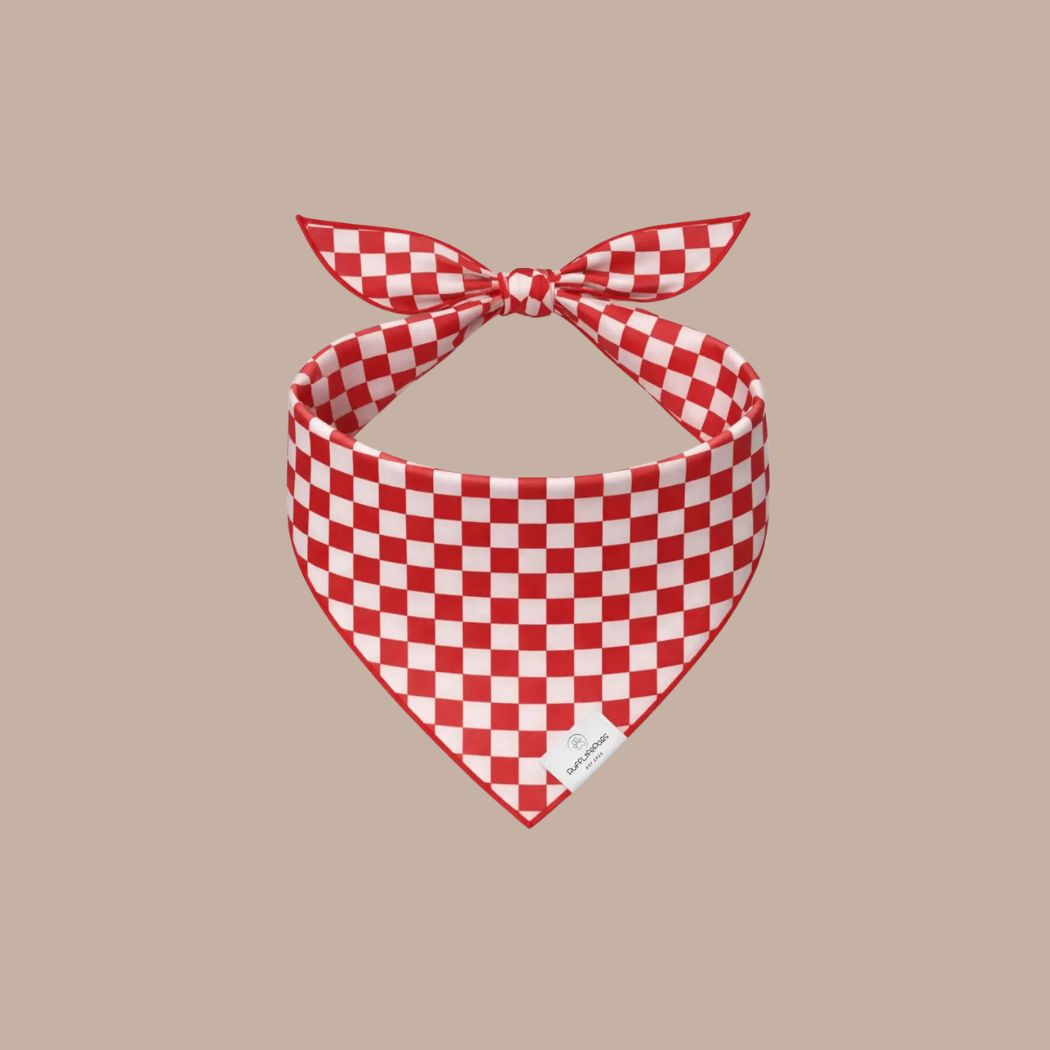 Dog Bandanas - KINSHIP GIFT