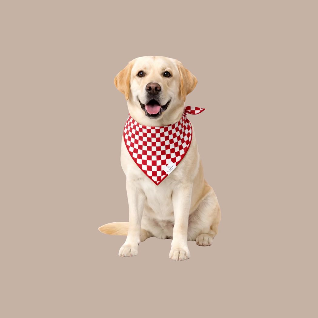 Dog Bandanas - KINSHIP GIFT