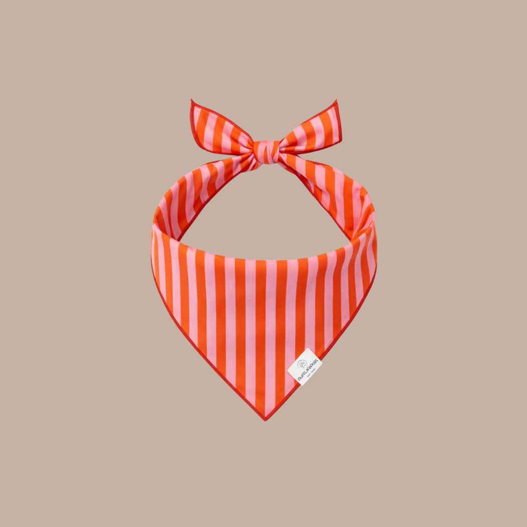 Dog Bandanas - Striped