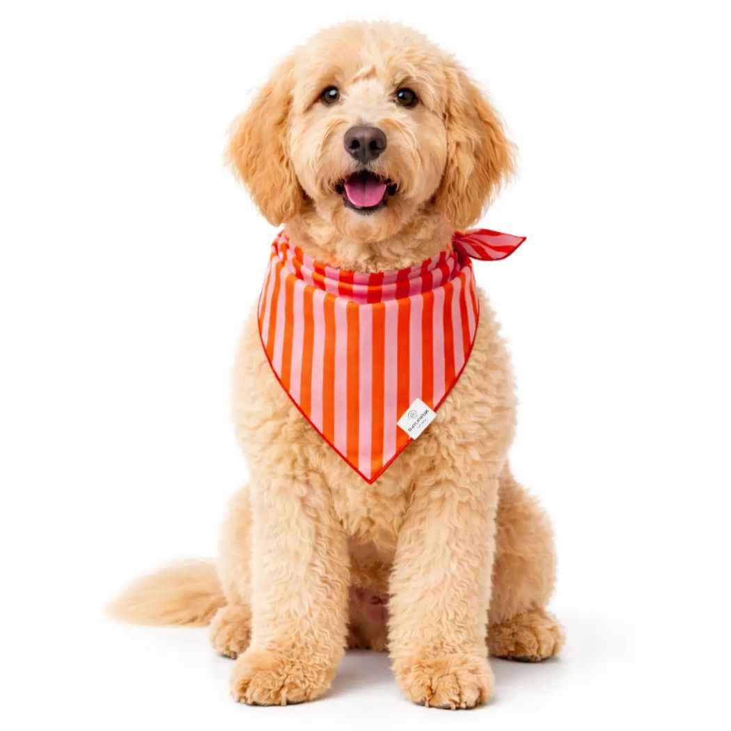Dog Bandanas - Striped