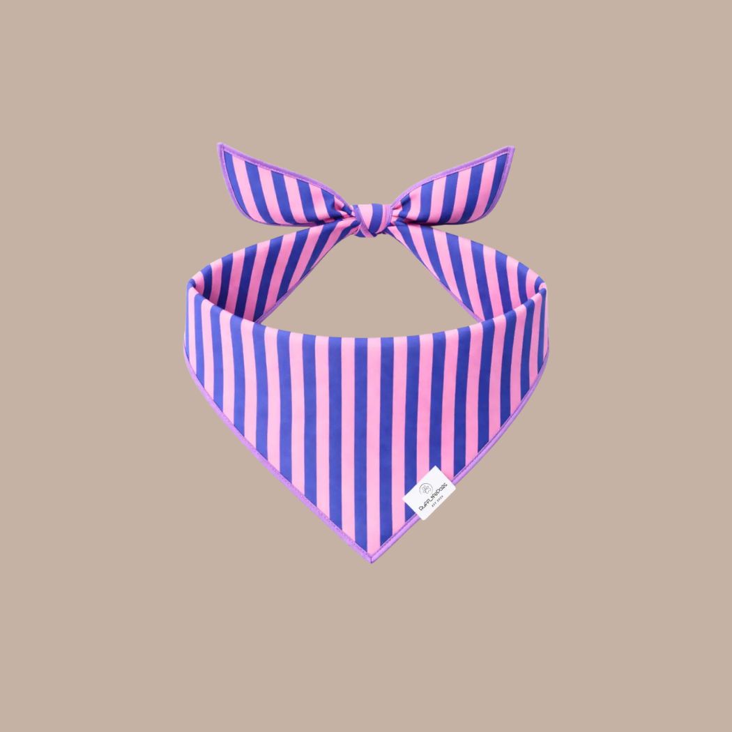 Dog Bandanas - Striped - KINSHIP GIFT