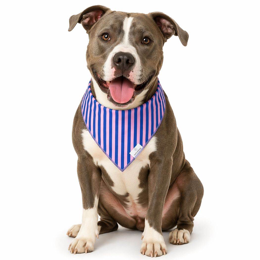 Dog Bandanas - Striped - KINSHIP GIFT