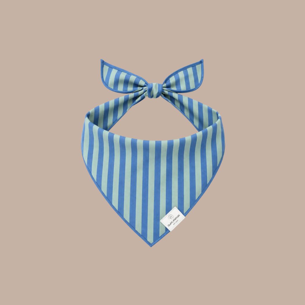 Dog Bandanas - Striped - KINSHIP GIFT