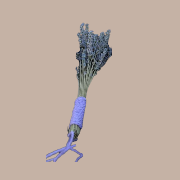 Dried Lavender Hanging Bundle-Blooming Springs Farm-KINSHIP GIFT