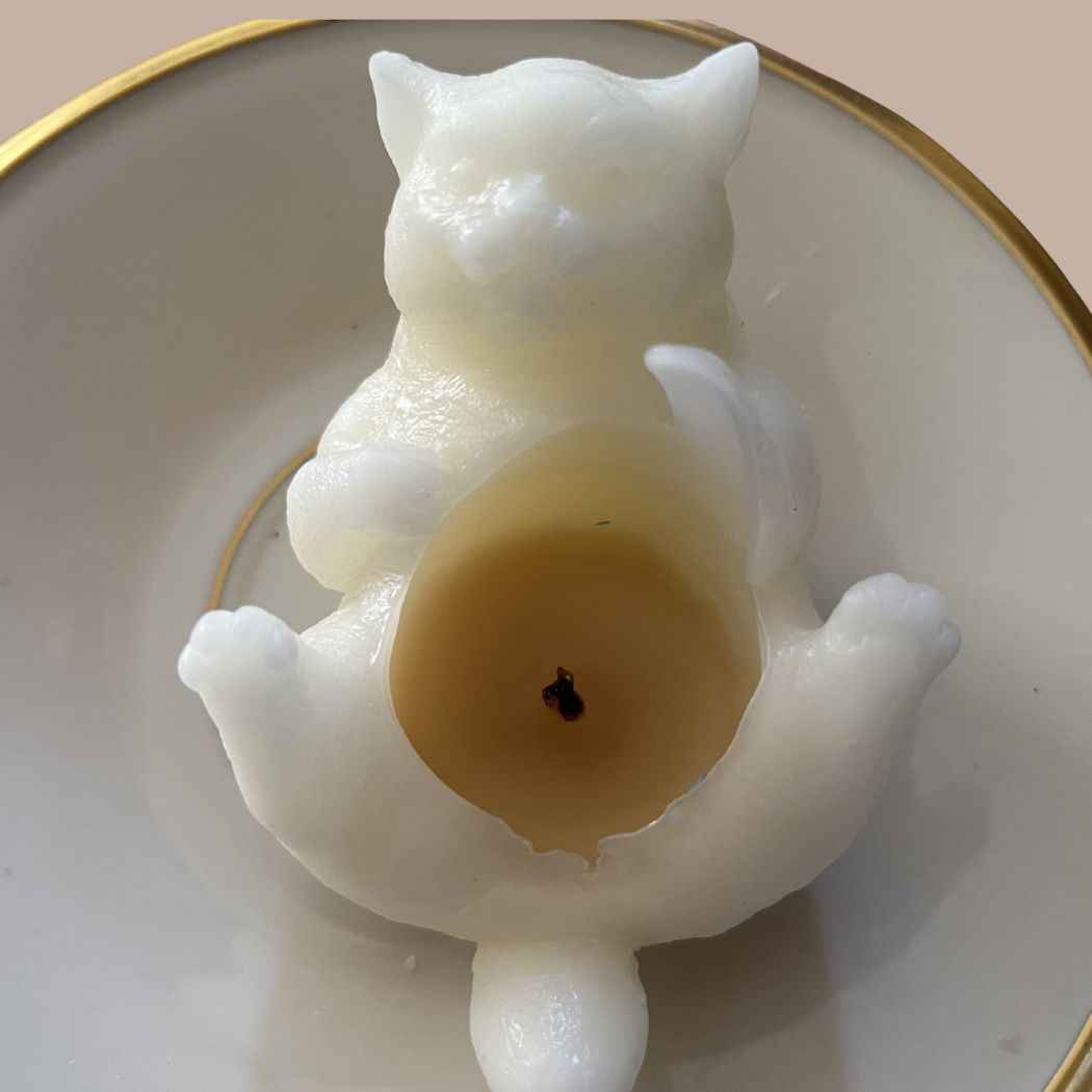 Fat Cat Candle