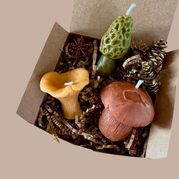 Mushroom Candles-Molded Shape Candle-Wicksburgh-Box of 3-KINSHIP GIFT