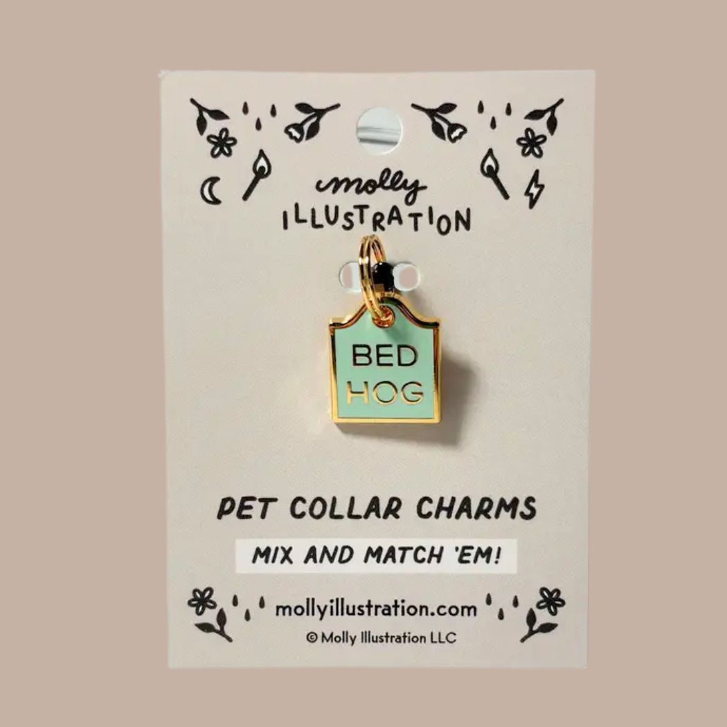 Pet Collar Charms - KINSHIP GIFT