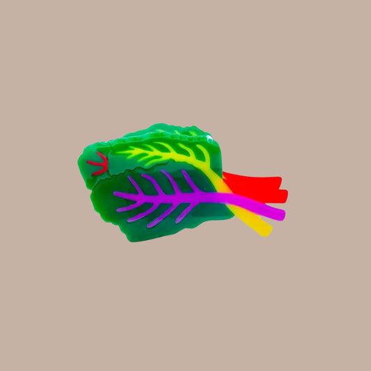 Rainbow Chard Hair Claw Clip