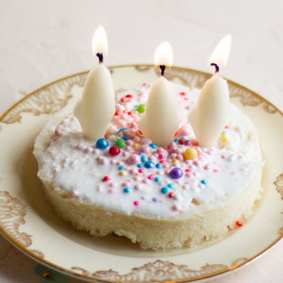 Sardine Celebration Candles in Two Packaging Color Options
