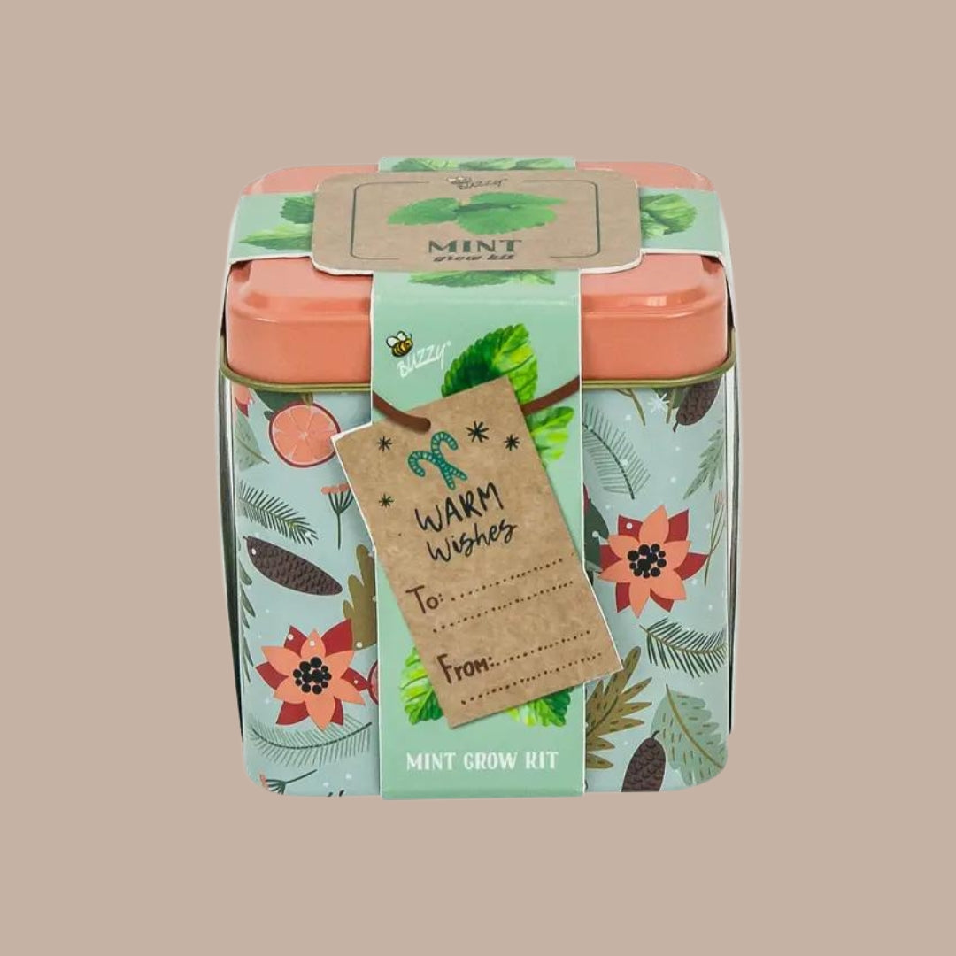Holiday Square Tin - Mint Grow Kit-Box Builder Item-Buzzy-Buzzy, corporate holiday gift, green, holiday, holiday colors, holidays, housewarming, LDT:GW:RESTRICT, local holiday gifts-