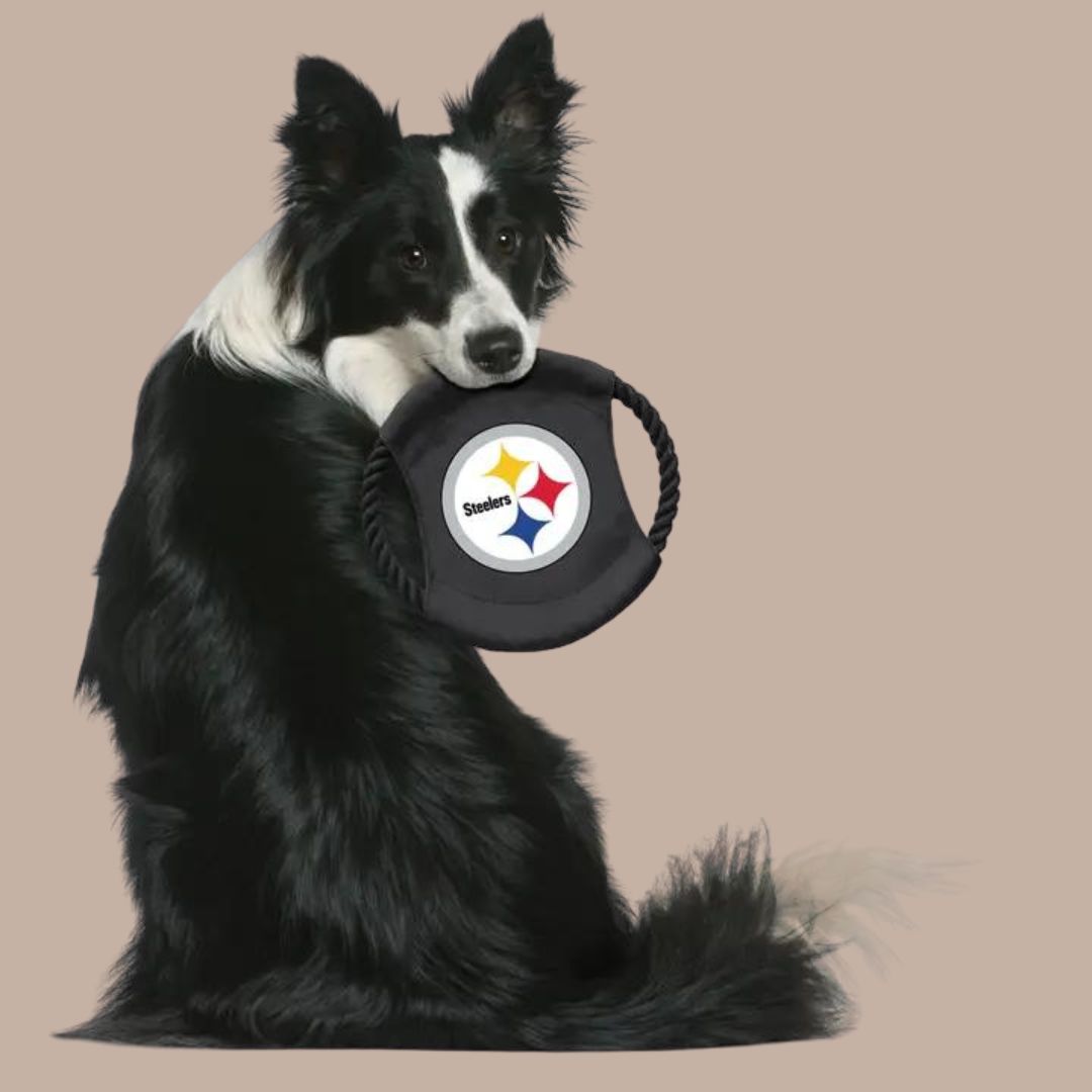 Nfl Pittsburgh Steelers Flying Disc Dog Toy-Box Builder Item-Little Earth Productions-black and yellow, dog toy, Dogs, LDT:GW:RESTRICT, Little Earth Productions, new dog, pittsburgh pride, steelers-