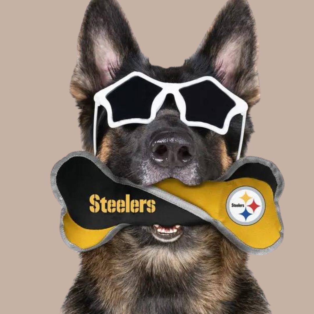 Nfl Pittsburgh Steelers Pet Tug Bone-Box Builder Item-Little Earth Productions-black and yellow, dog toy, Dogs, LDT:GW:RESTRICT, Little Earth Productions, new dog, pittsburgh pride, steelers-