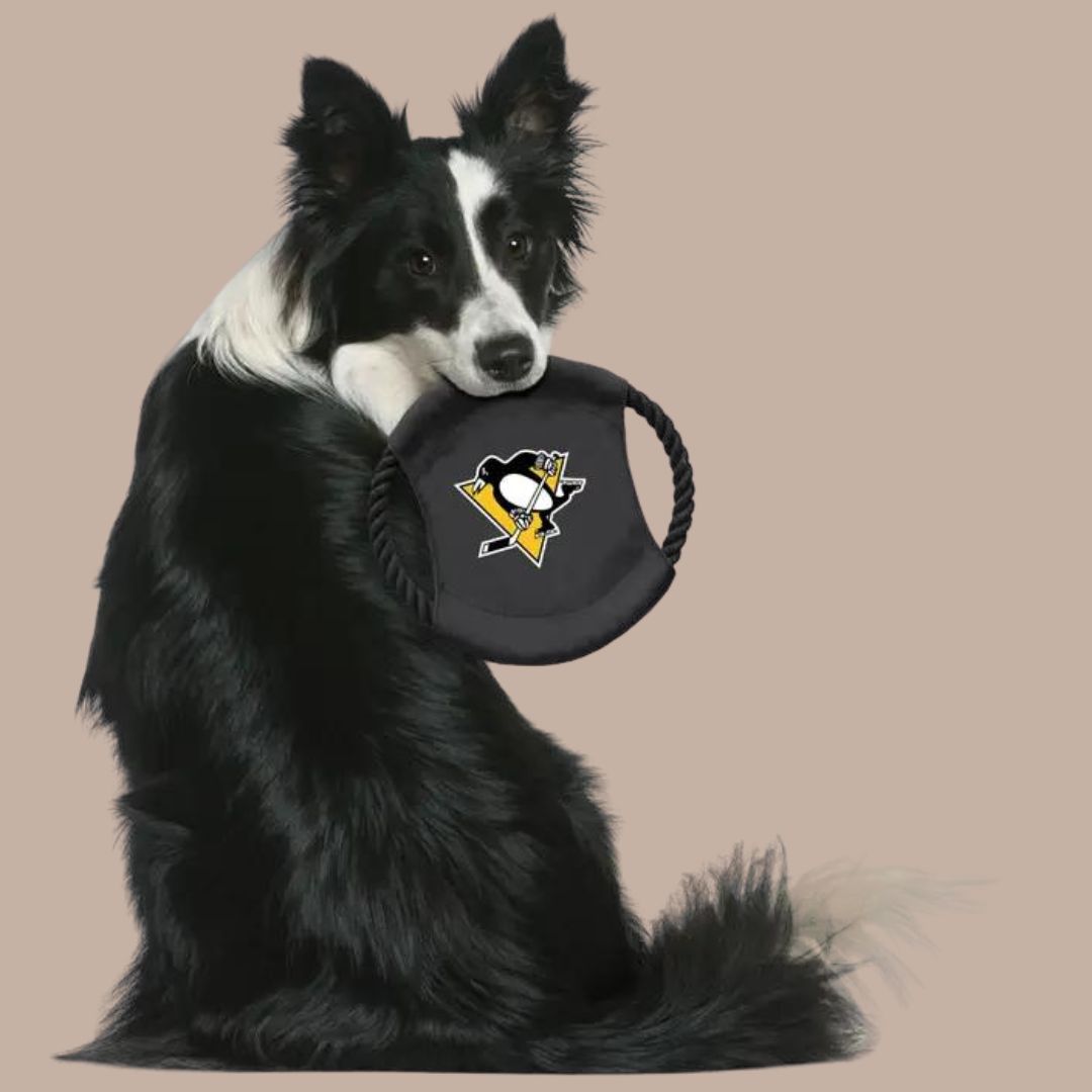 Nhl Pittsburgh Penguins Flying Disc Dog Toy-Box Builder Item-Little Earth Productions-black and yellow, dog toy, Dogs, LDT:GW:RESTRICT, Little Earth Productions, new dog, nhl, penguins, pittsburgh pride-