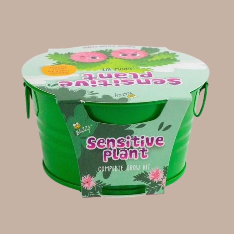 Sensitive Plant Kids Mini Painted Basin Grow Kit-Box Builder Item-Buzzy-Babies/Kids, Buzzy, green, housewarming, LDT:GW:RESTRICT, Mother's Day, spring, Sympathy-