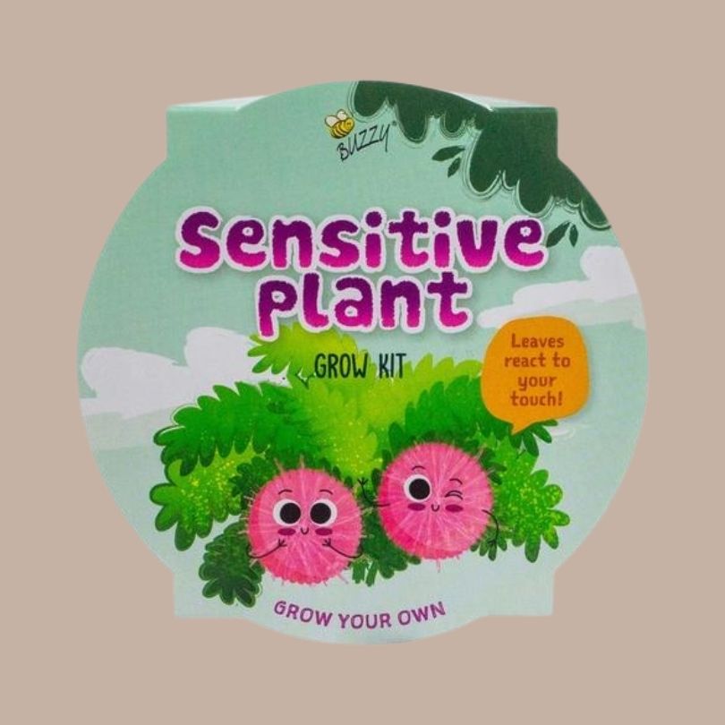 Sensitive Plant Kids Mini Painted Basin Grow Kit-Box Builder Item-Buzzy-Babies/Kids, Buzzy, green, housewarming, LDT:GW:RESTRICT, Mother's Day, spring, Sympathy-